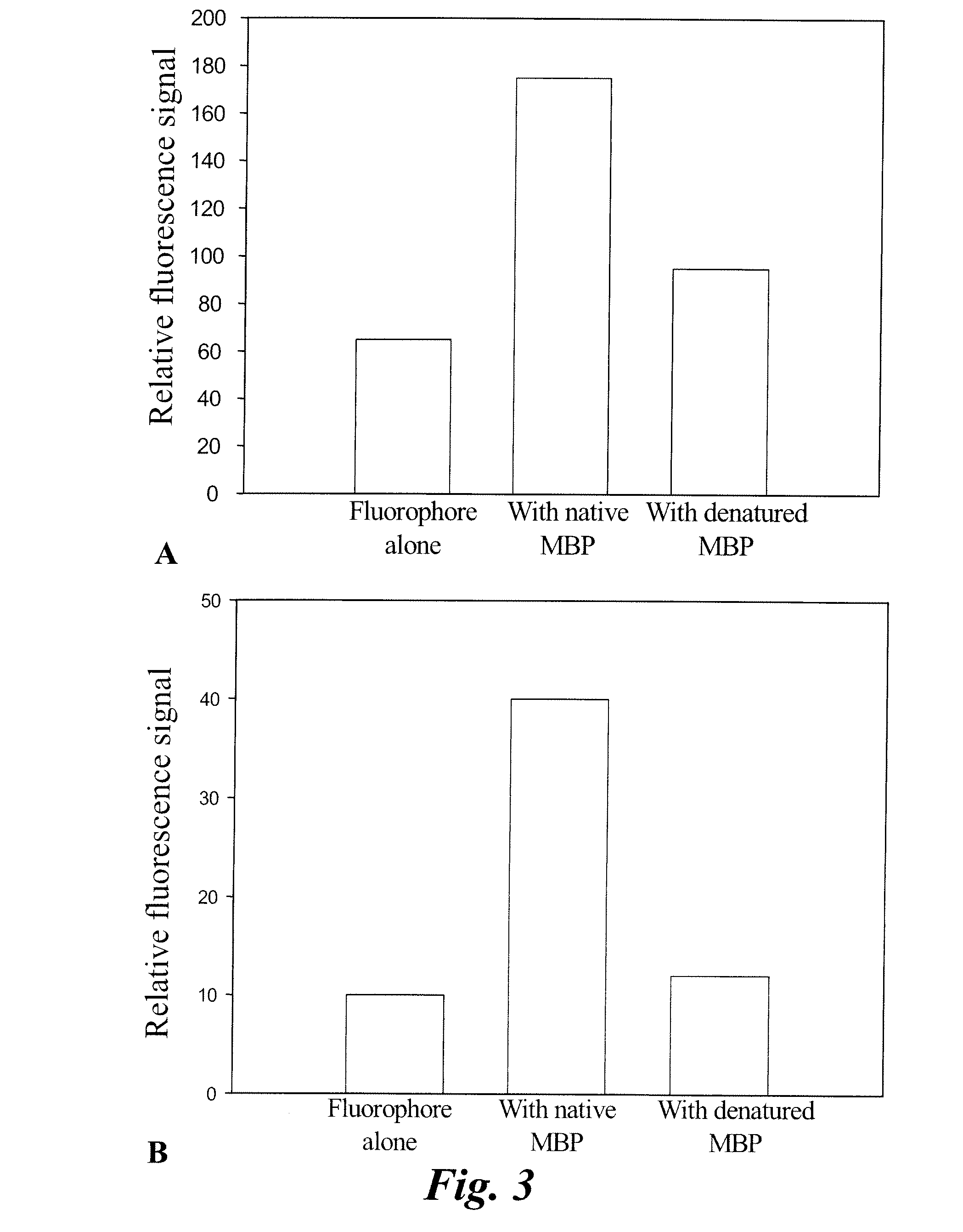 Imaging of myelin basic protein