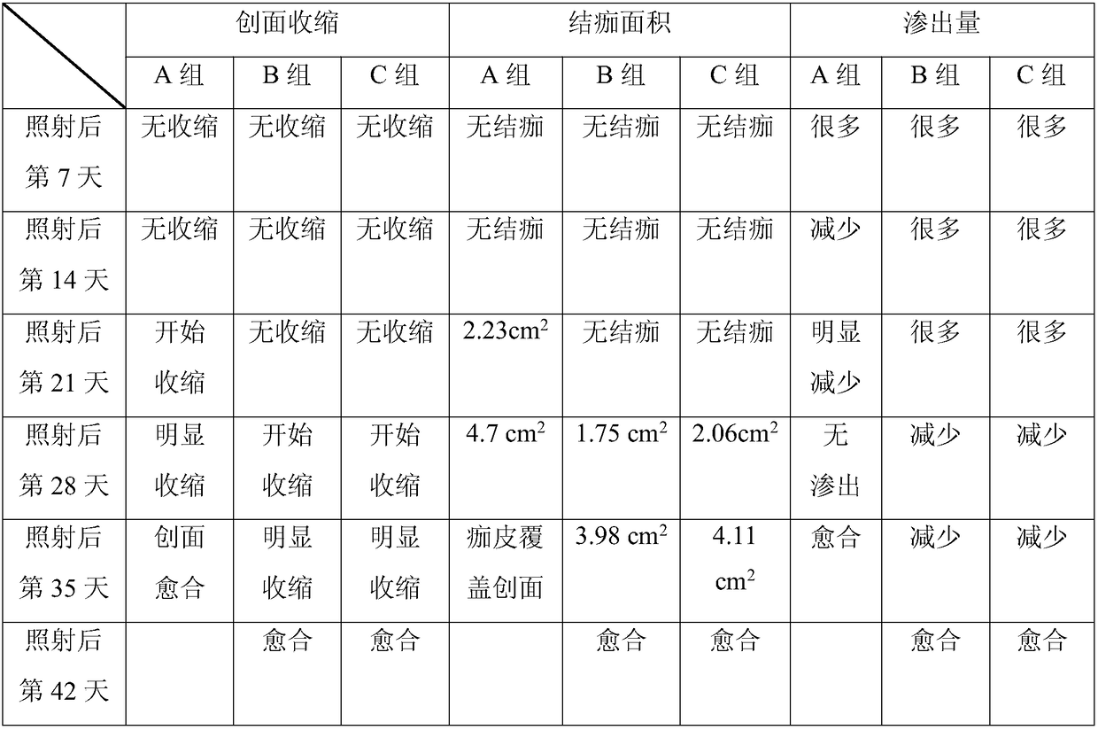 Radiation protection composition and preparation method thereof