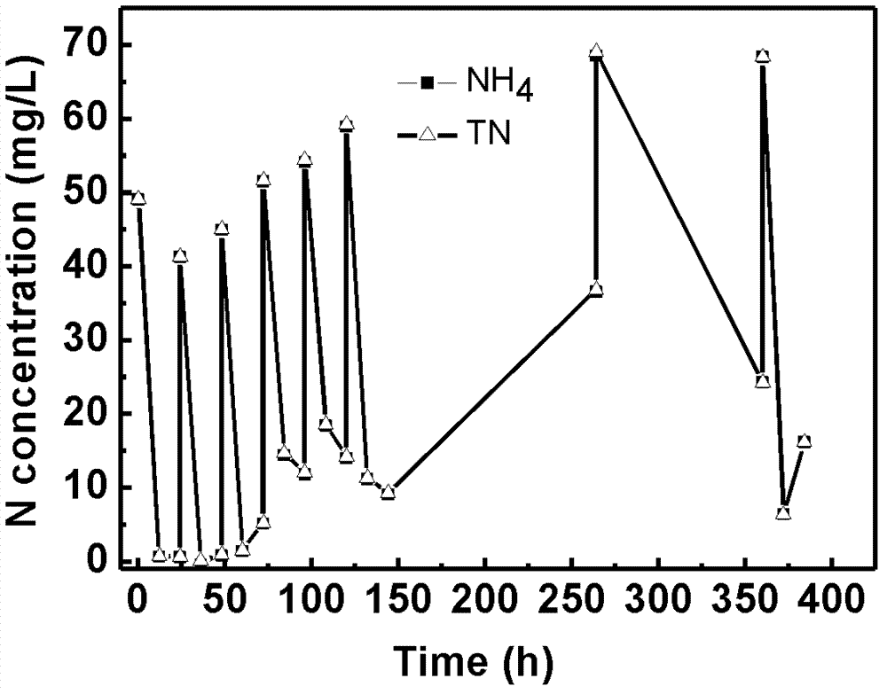 Achromobacter xylosoxidans with denitrification and dephosphorization function and application of Achromobacter xylosoxidans