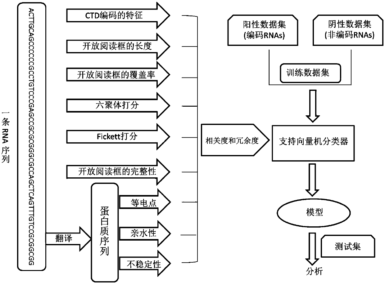 Method for predicting RNA coding potential