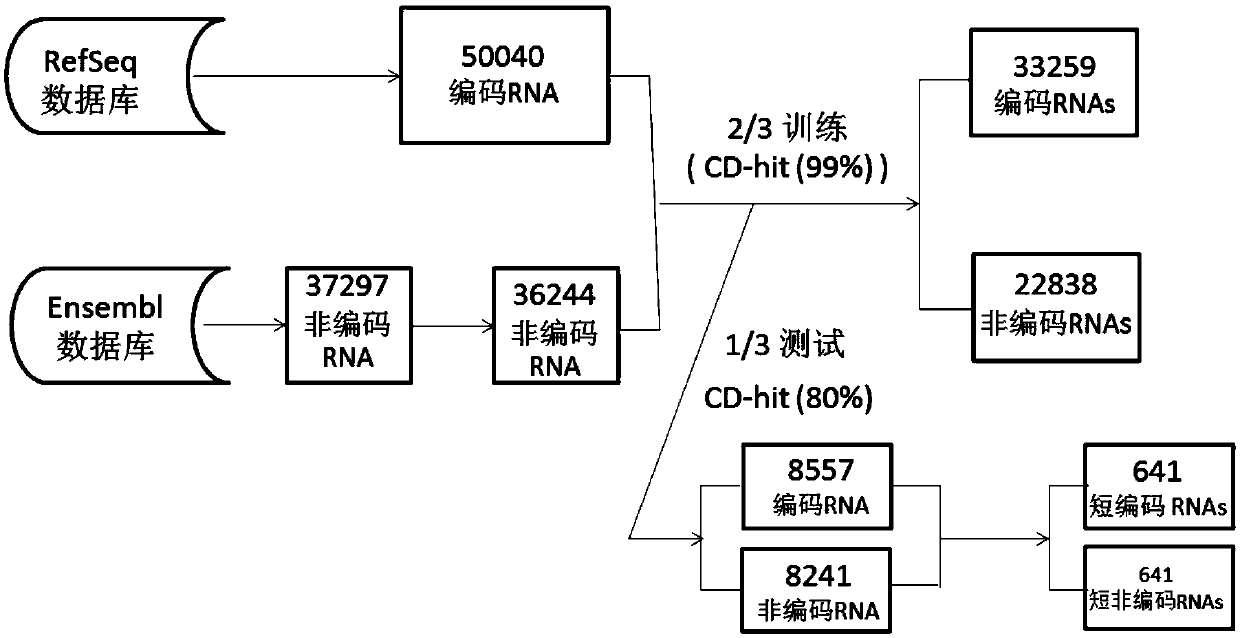 Method for predicting RNA coding potential