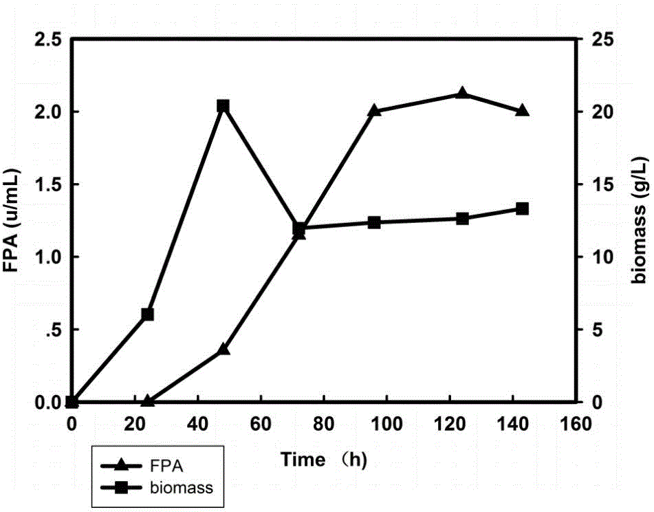 Method for replenishing nitrogen source culture fungus in batch to produce cellulase