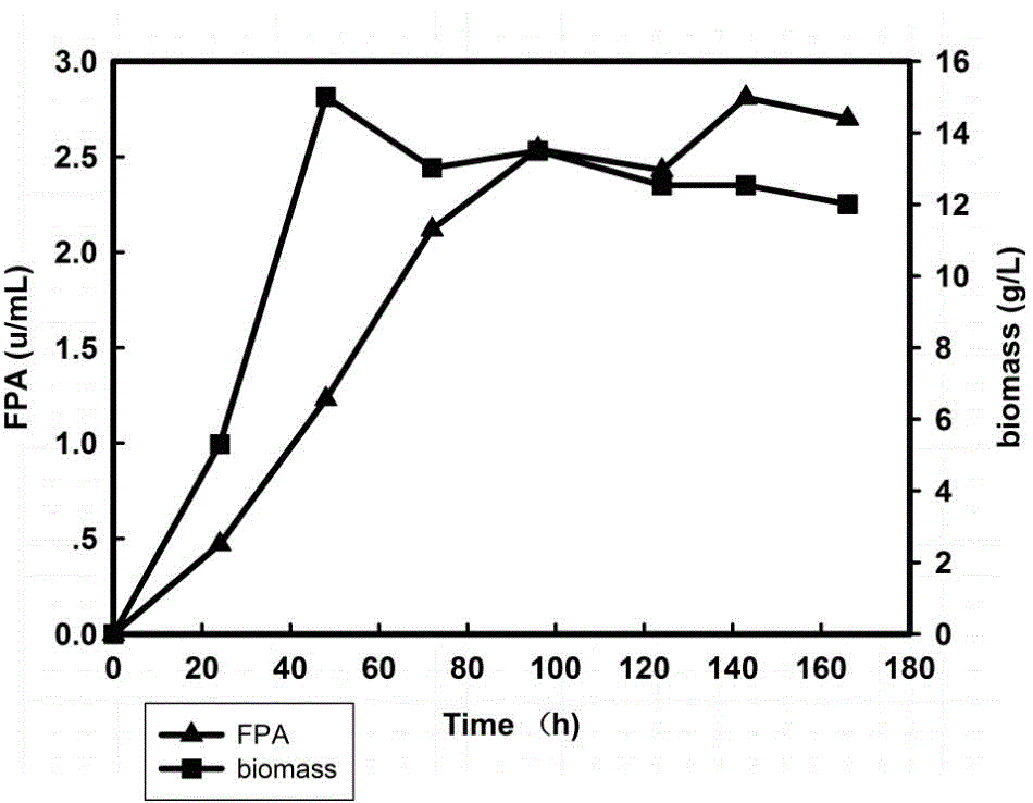 Method for replenishing nitrogen source culture fungus in batch to produce cellulase