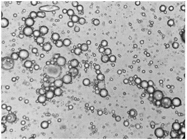 Microcapsule preparation, soil nematode prevention and control microcapsule suspending agent, and preparation method of microcapsule preparation