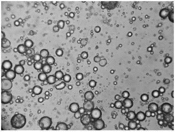 Microcapsule preparation, soil nematode prevention and control microcapsule suspending agent, and preparation method of microcapsule preparation