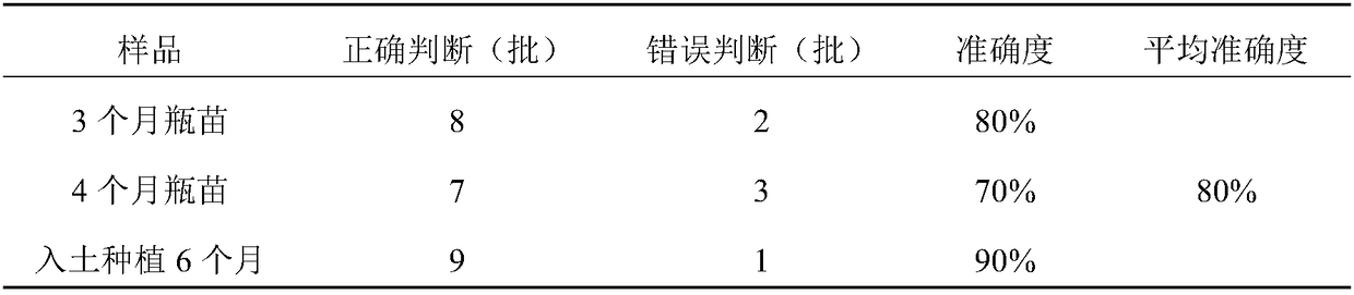 Identification method for anoectochilus roxburghii with different cultivation methods