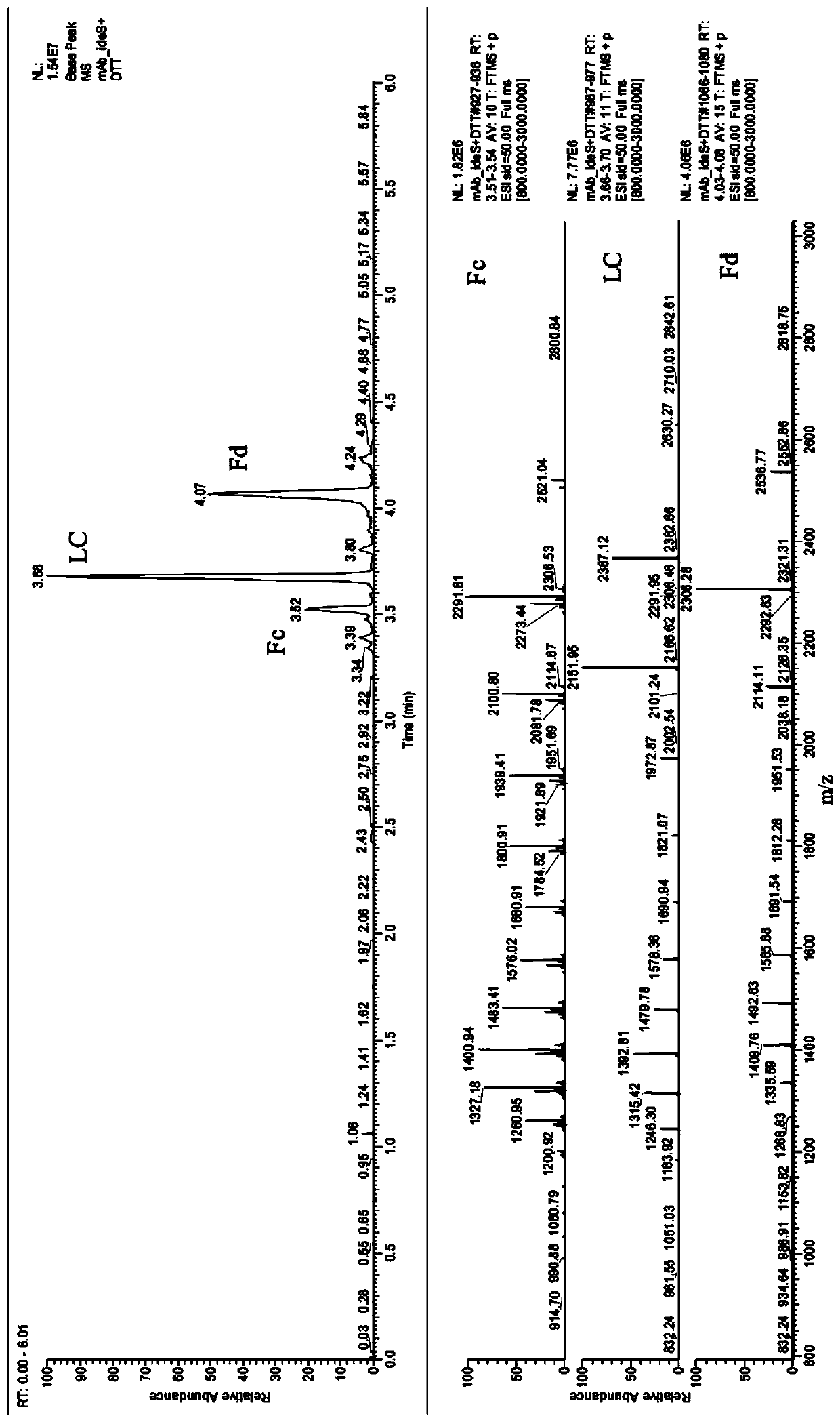 A Rapid Analysis Method for Monoclonal Antibody N-Glycoforms