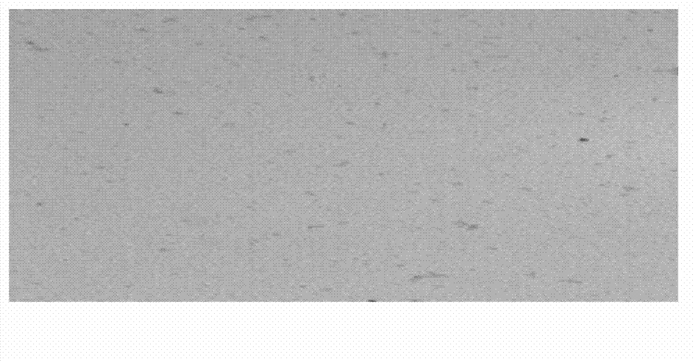 Laboratory preparation method of iron-base amorphous spectral standard sample