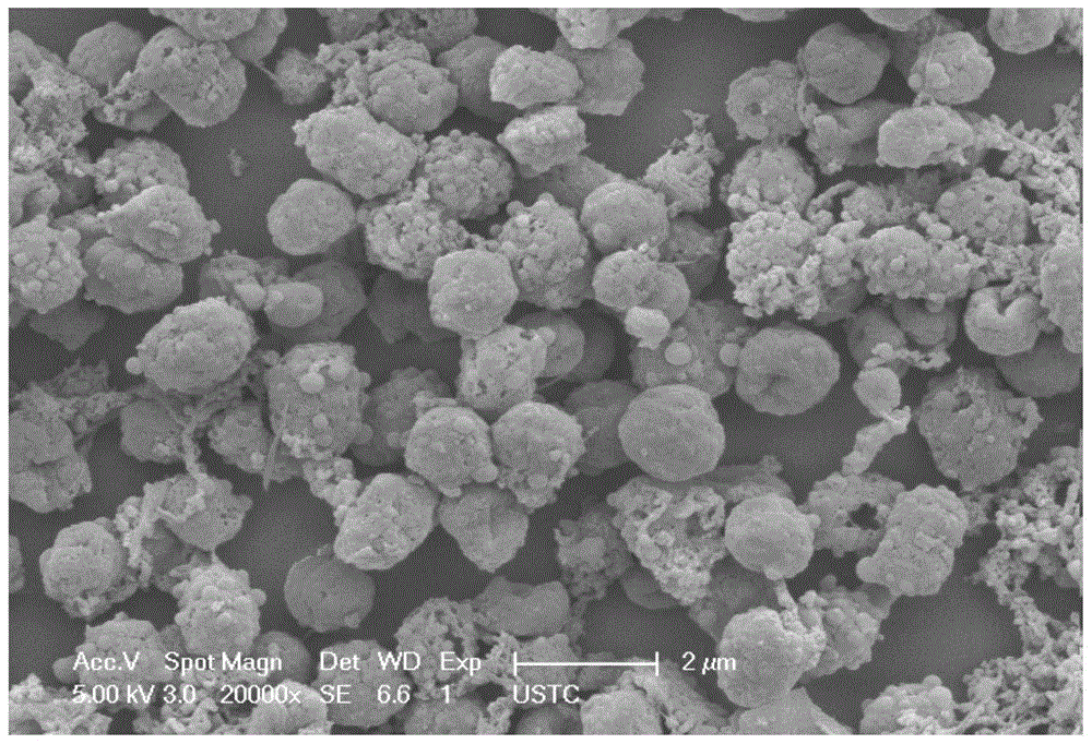 Method for preparing biological activated carbon by hydrothermal carbonization of algae residue/algae sludge