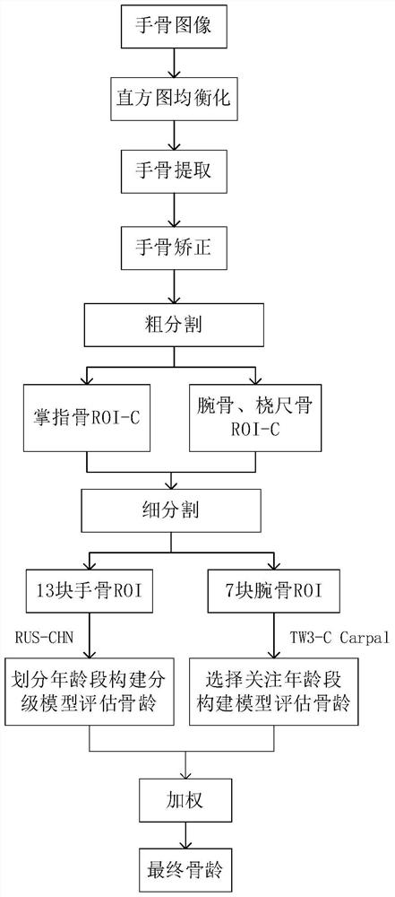 Weighted bone age evaluation method and system based on deep learning