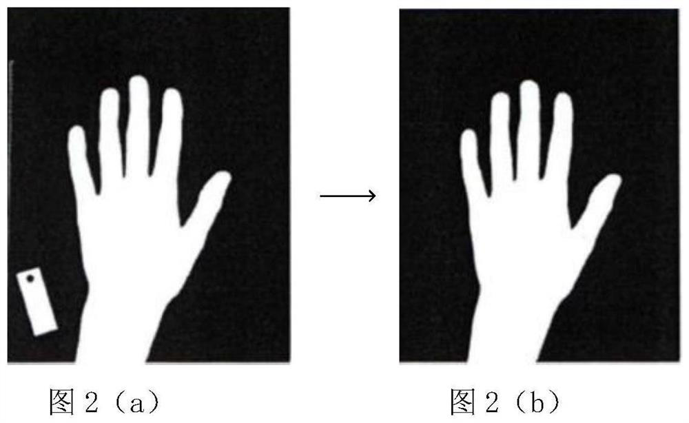 Weighted bone age evaluation method and system based on deep learning