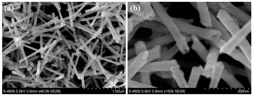 Metal telluride nanotube and universal preparation method thereof