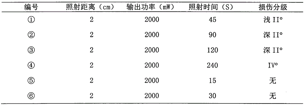 Method for making burn animal model