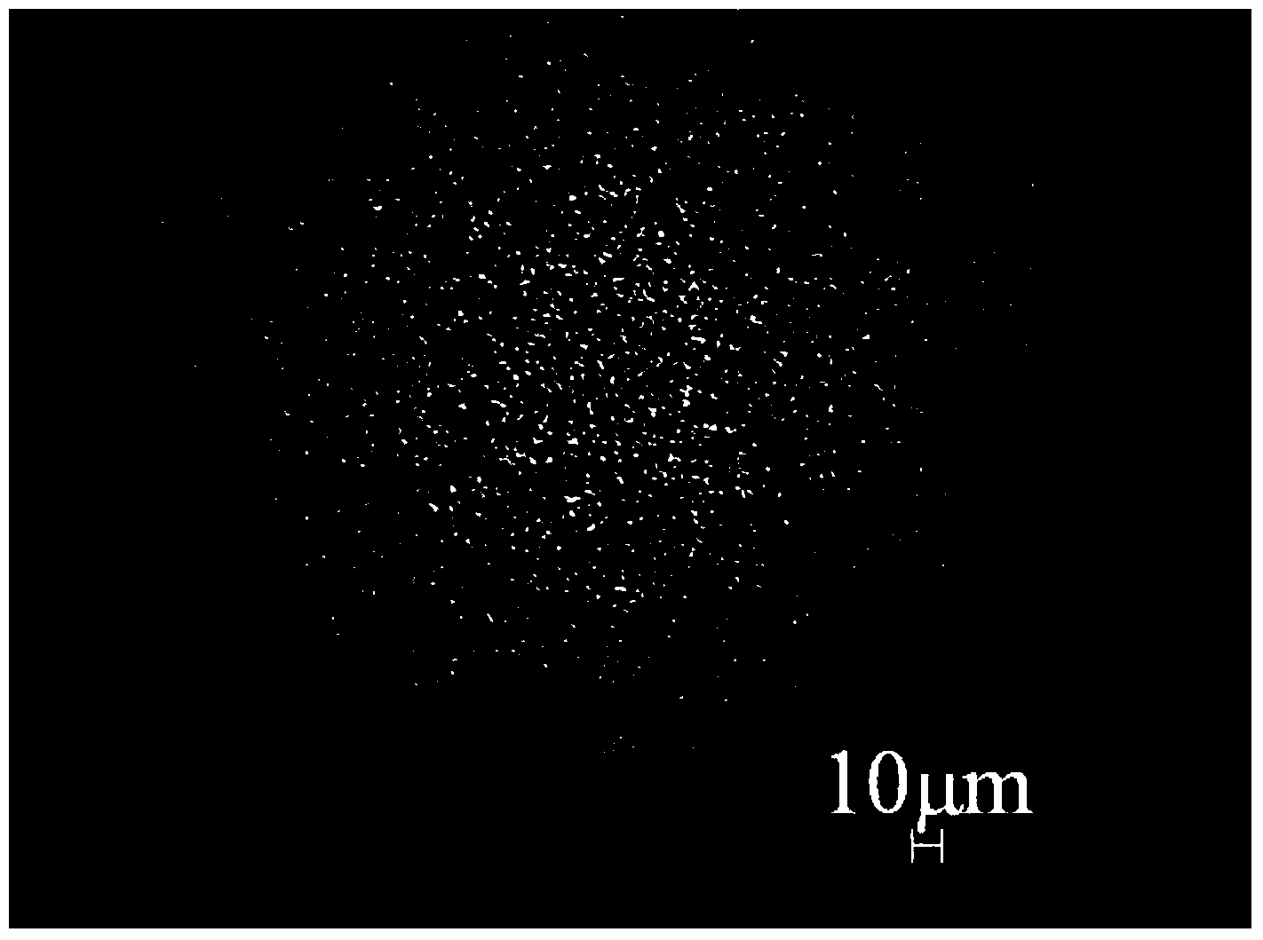 Preparation method for flaky AgSnO2 contact