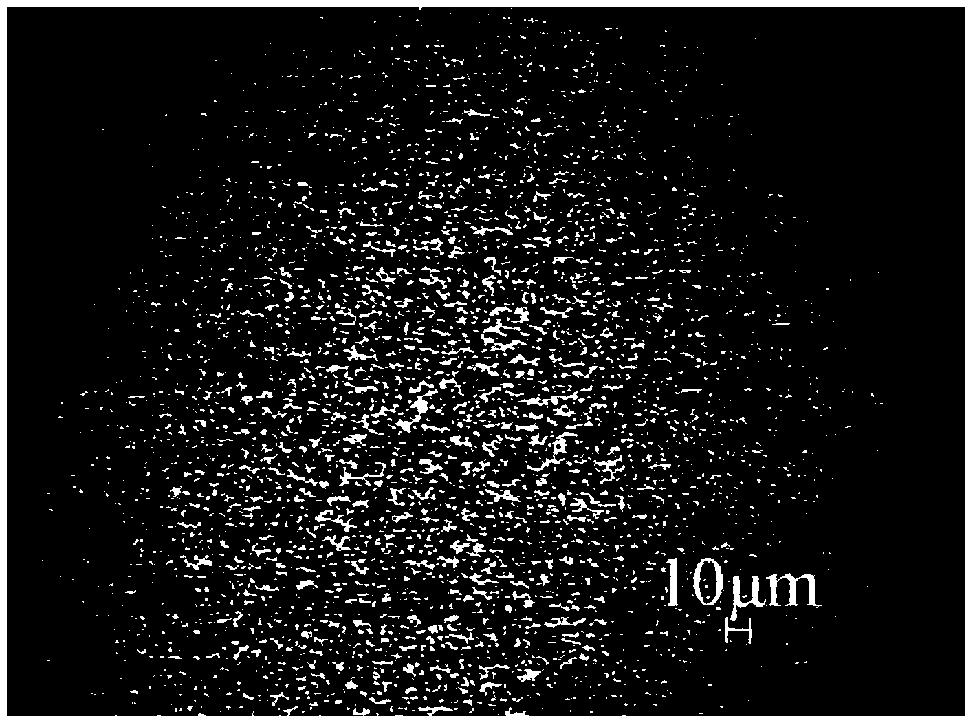 Preparation method for flaky AgSnO2 contact