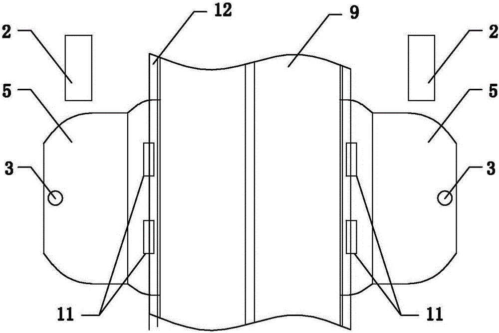 Road dust removing device