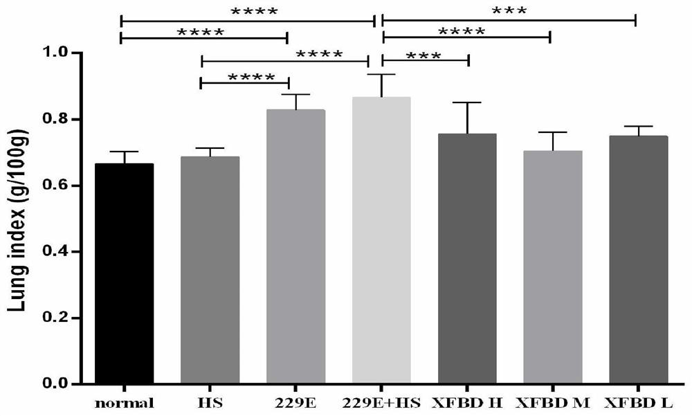 Anti-coronavirus traditional Chinese medicine granules and preparation method and application thereof