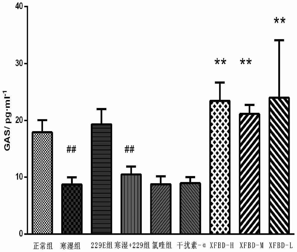 Anti-coronavirus traditional Chinese medicine granules and preparation method and application thereof