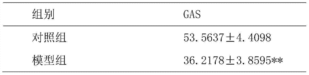 Method for building insufficient spleen water-dampness stopping animal model