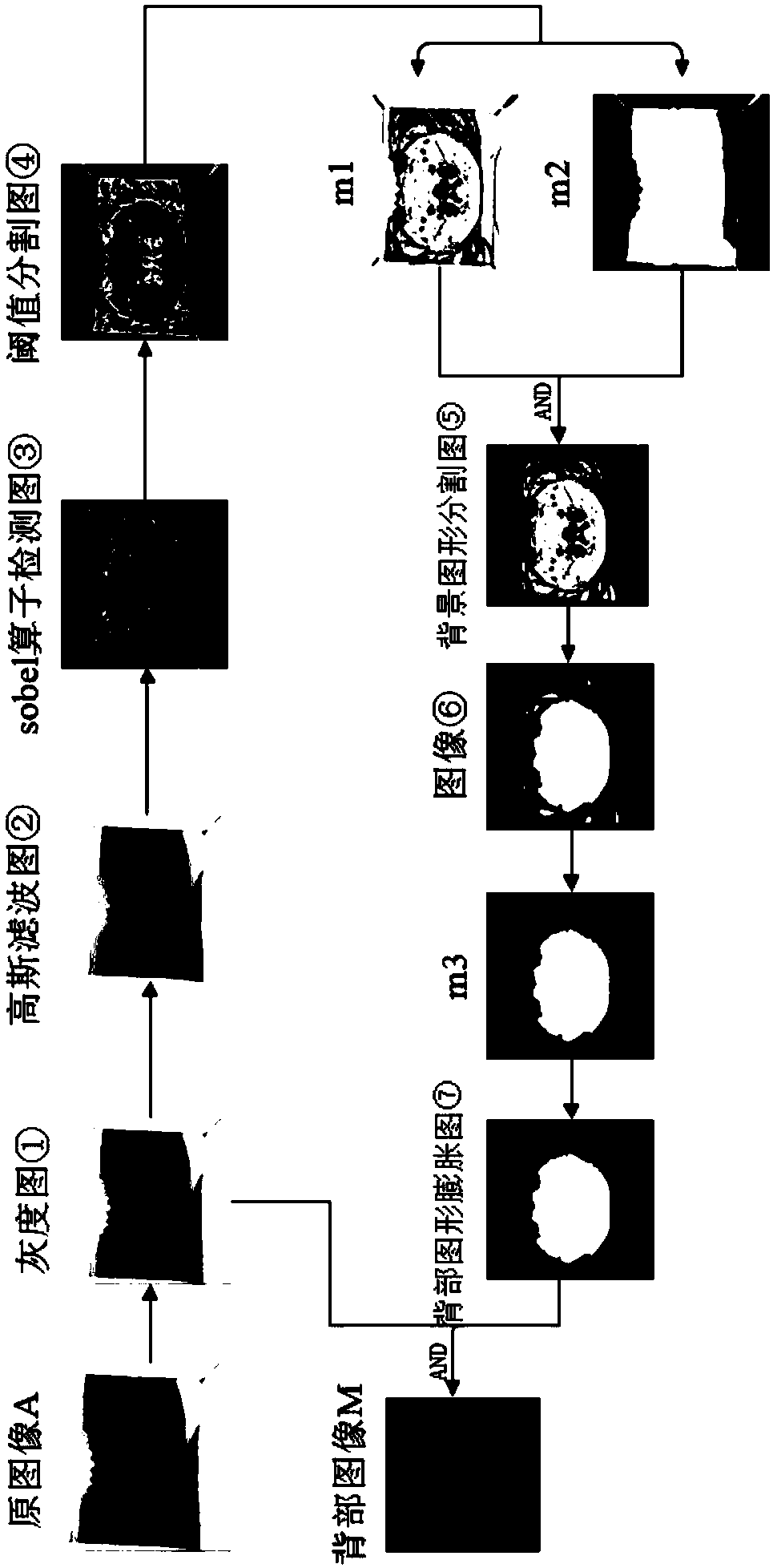 Chinese mitten crab uniqueness recognition method based on image matching