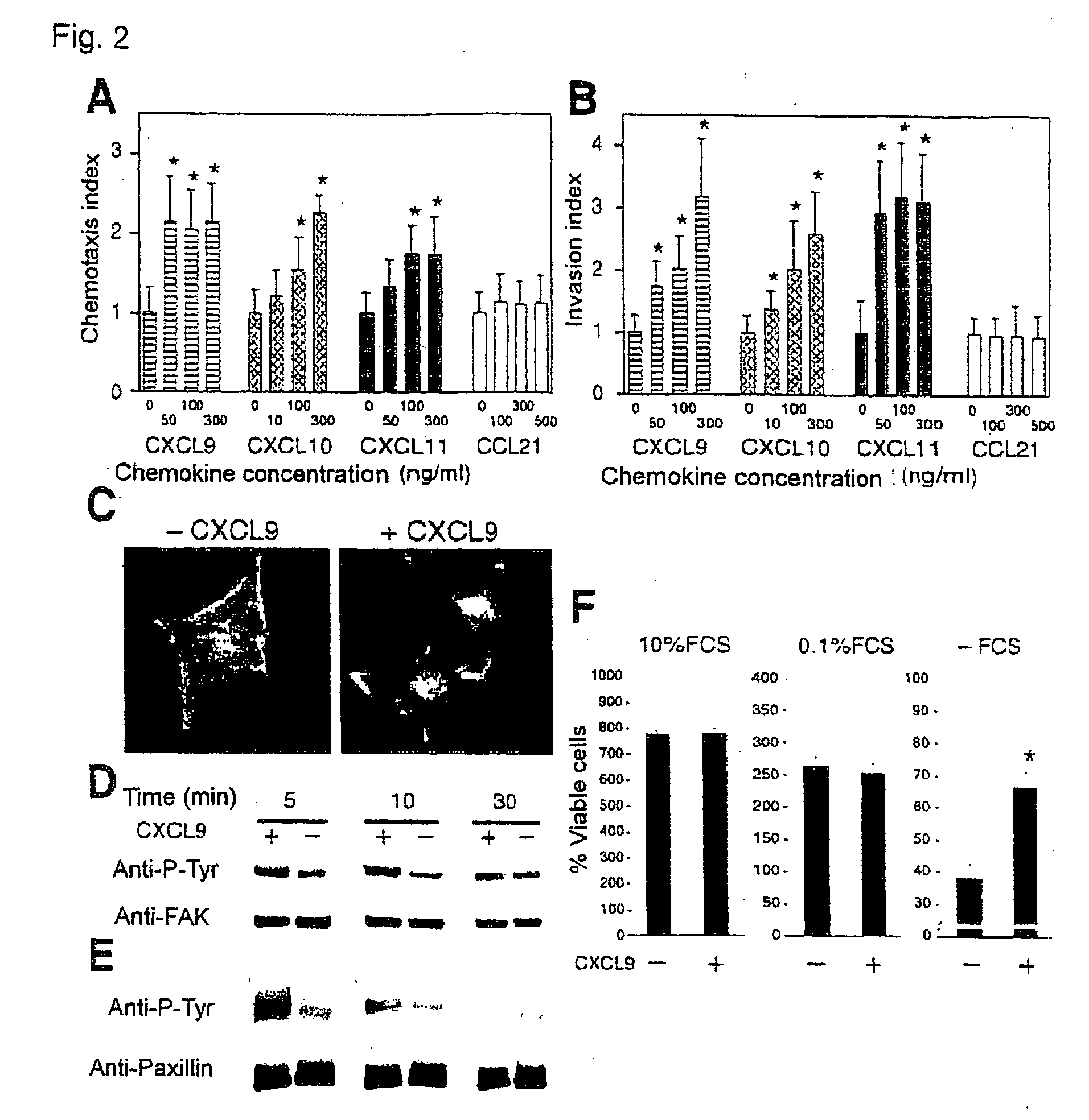 Pharmaceutical composition comprising cxcr3 inhibitor