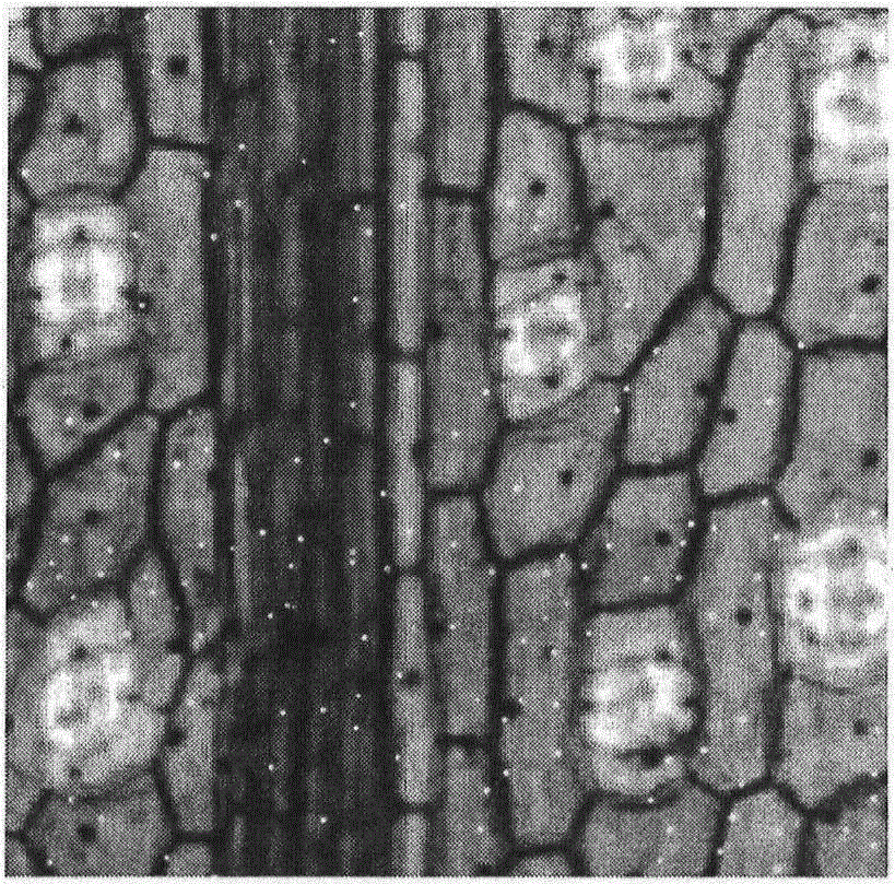 Multi-wavelength lamination imaging technology facing to three-dimensional information recovery