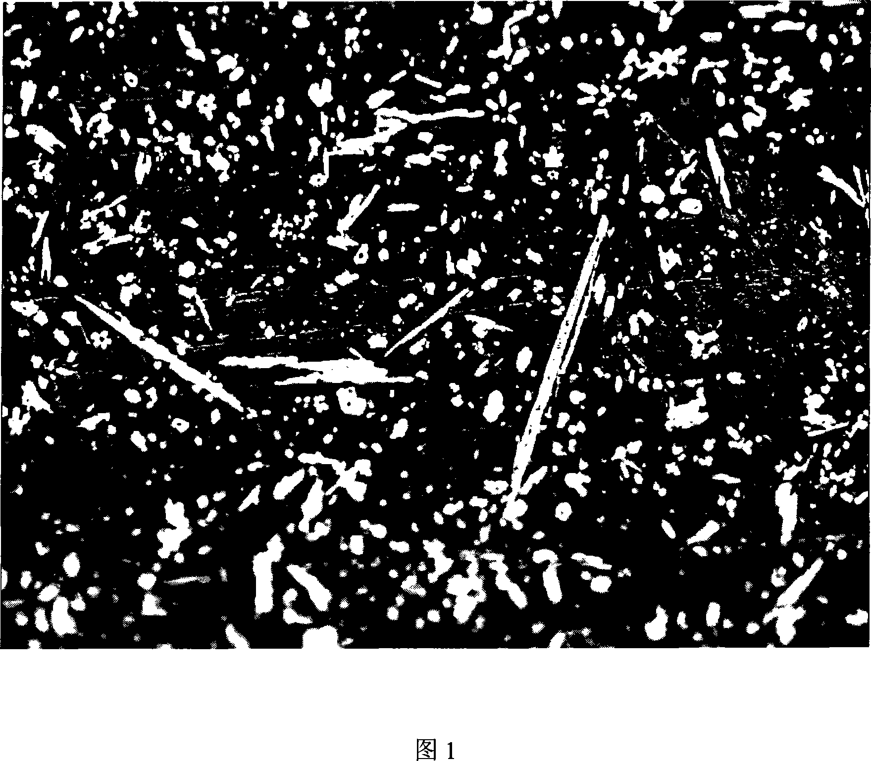 Technique for manufacturing high-carbon steel thrust sliding bearing of high-power low speed diesel engine