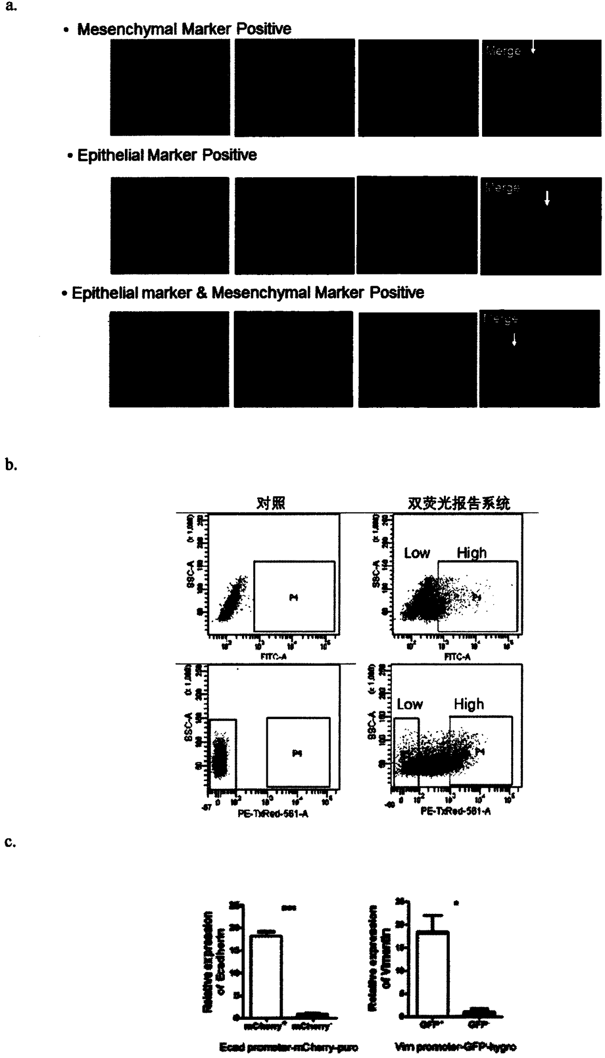 Dual-illumination reporting system and application thereof