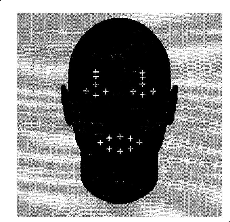 Human face critical organ contour characteristic points positioning and tracking method and device