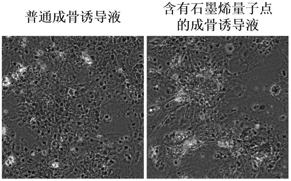 Inducing liquid for improving osteogenic differentiation efficiency in stem cells and application of inducing liquid