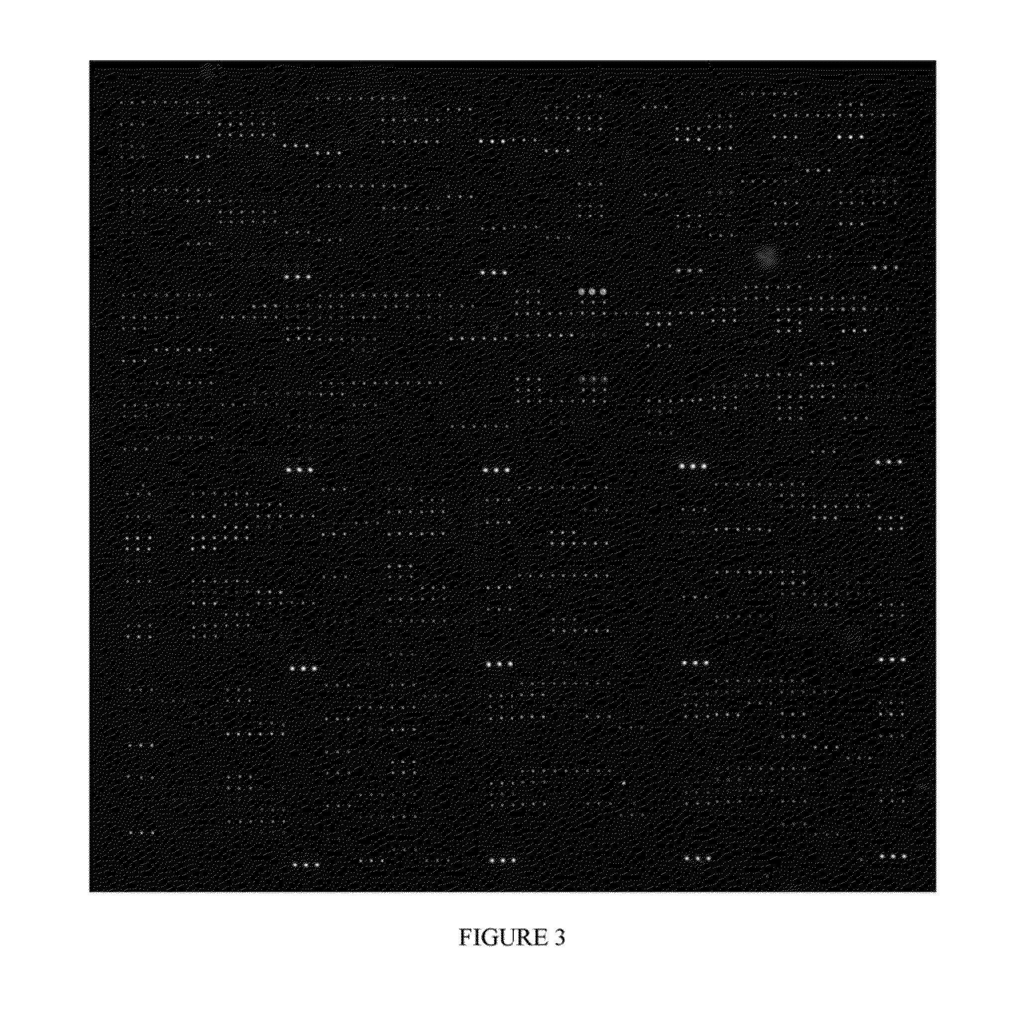 Peptide microarray and method of use