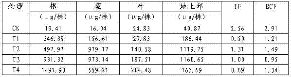 Use of Debregeasia orientalis C. J. Chen in remediation of cadmium heavy metal contaminated soil