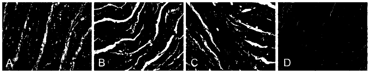 Application of inosine in preparation of medicine for preventing decompression sickness caused by rapid ascent and escape