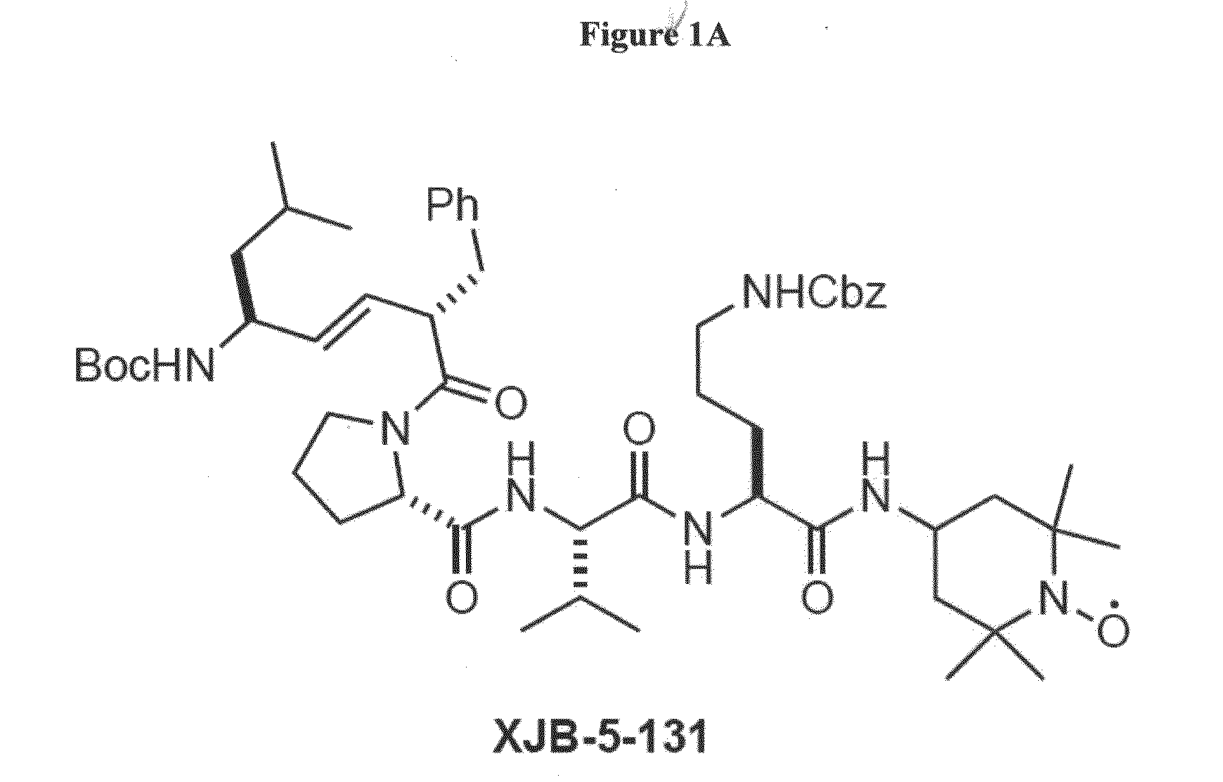 Compounds for the treatment of pathologies associated with aging and degenerative disorders