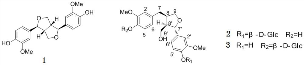 Method for extracting and separating lignans from Artemisia persicae