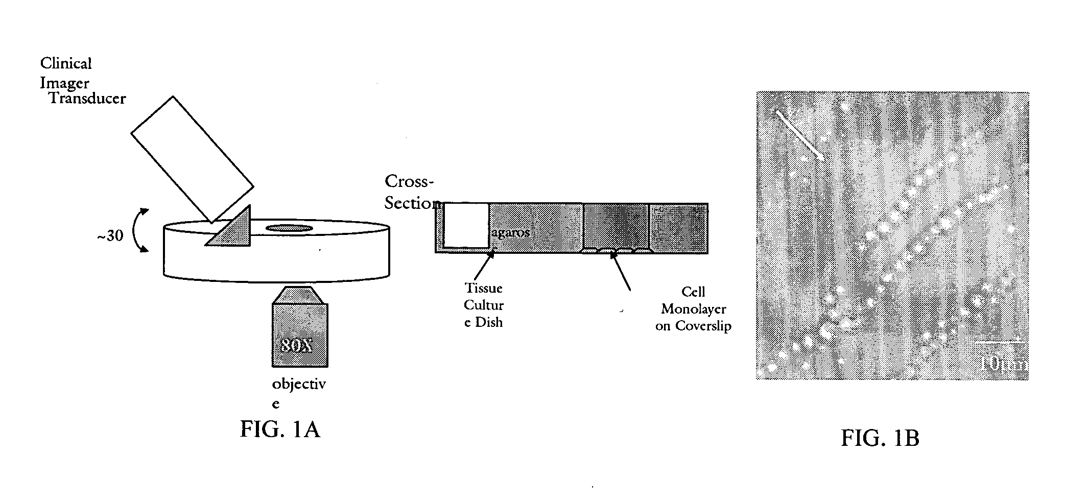 Enhanced drug delivery