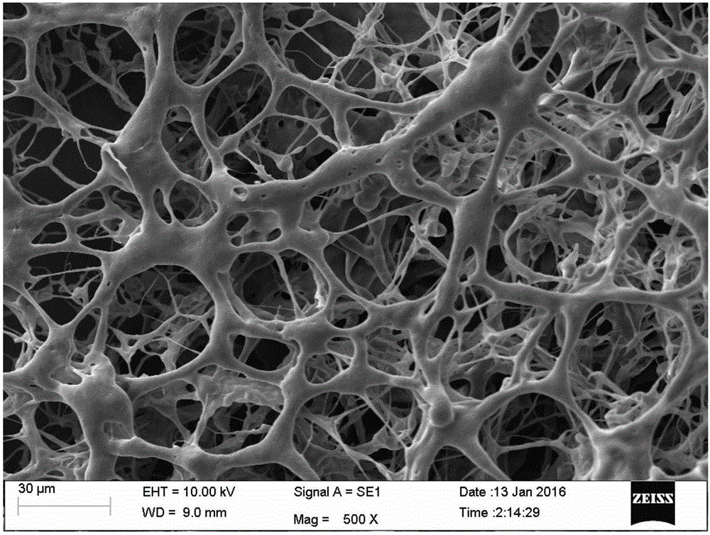 Method for preparing cellular material from biological cross-linking agent crosslinked protein