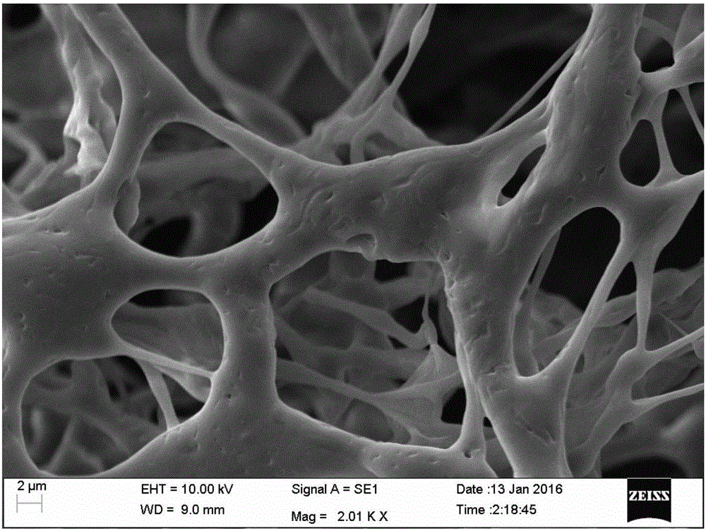 Method for preparing cellular material from biological cross-linking agent crosslinked protein