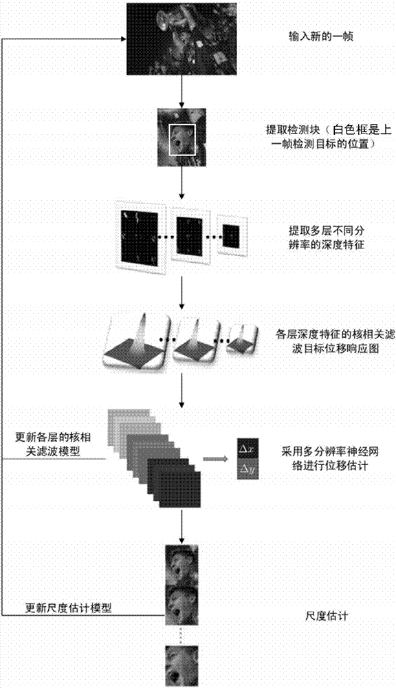 Target tracking method and system based on multi-resolution neural network