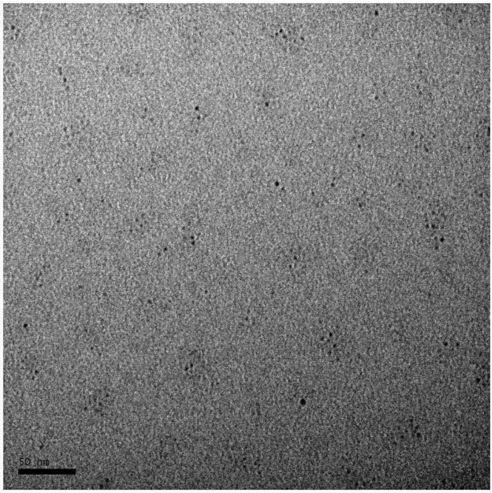 Preparation method of nanoparticles of amphoteric ionized dendrimer inclusion gold