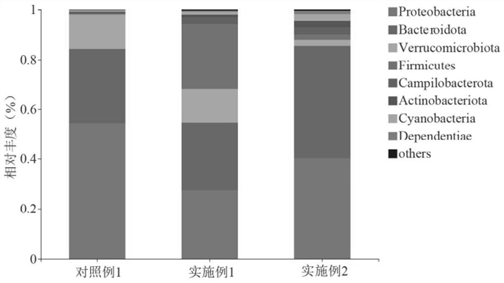 Micro-ecological microbial agent composite dietary fiber sea cucumber feed