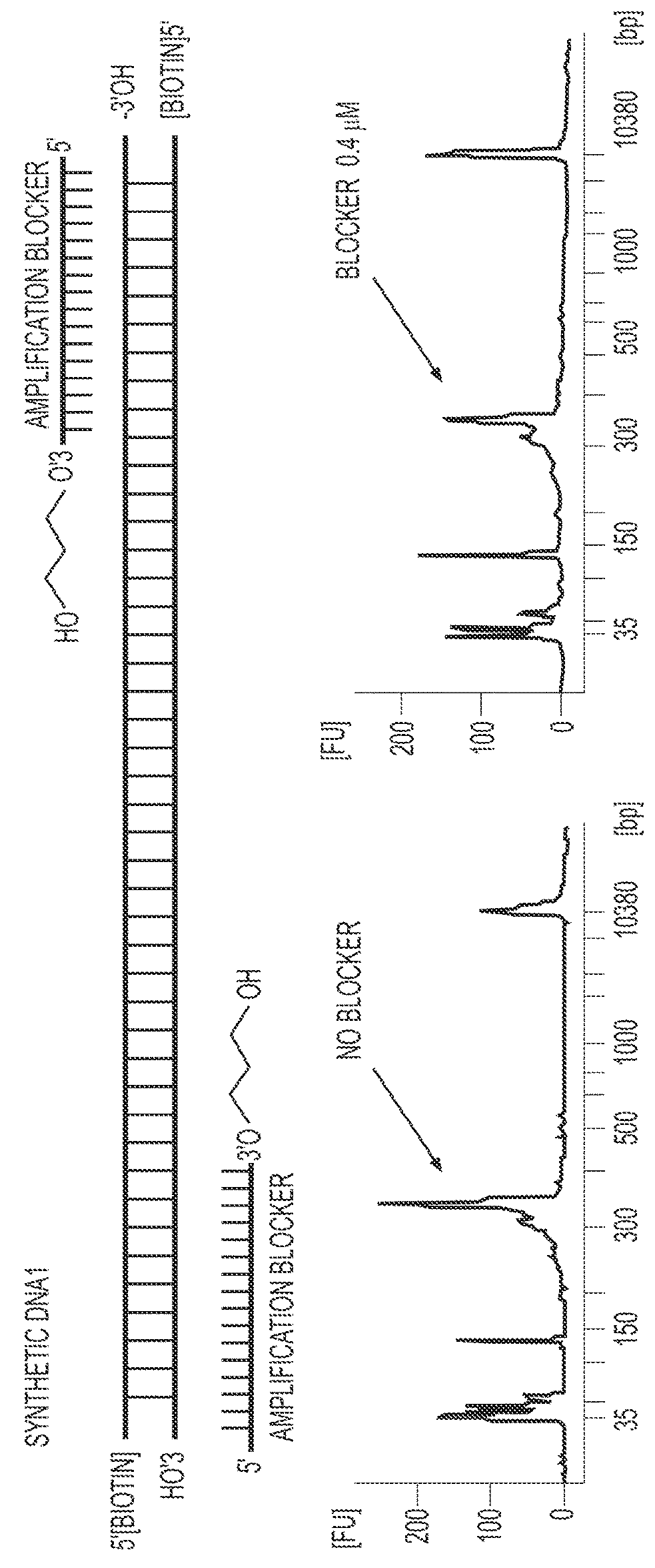 Methods of genome seqencing and epigenetic analysis