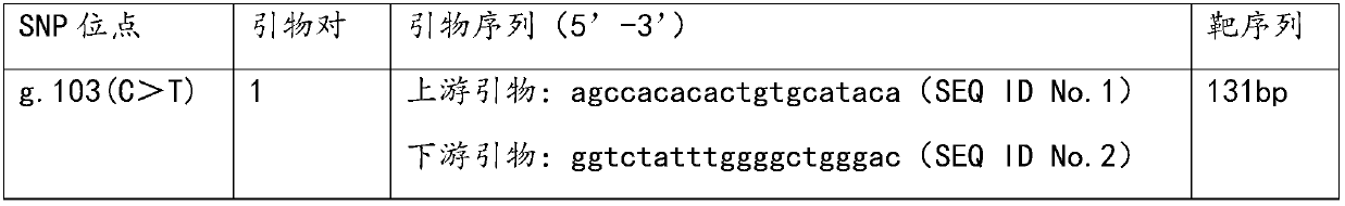 Application of TRPV5 gene SNP locus in detecting susceptibility to heavy-metal poisoning