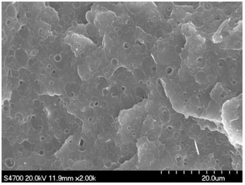 Polylactic acid foamed material and preparation method thereof