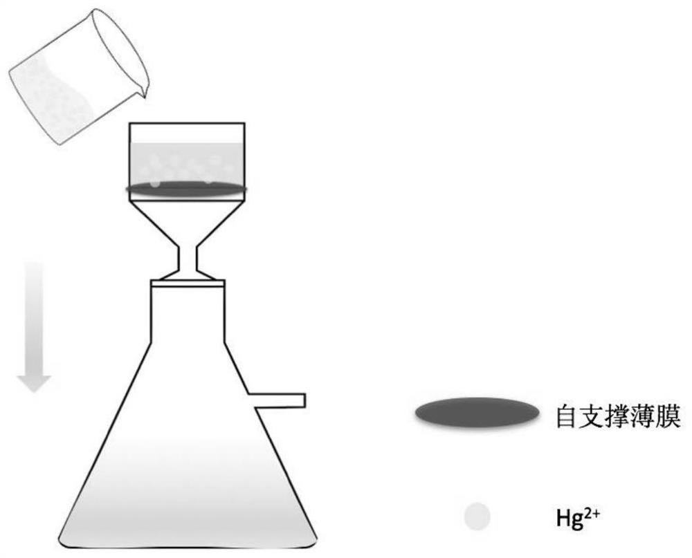 Synthesis method of composite film for adsorbing Hg &lt; 2 + &gt; in wastewater