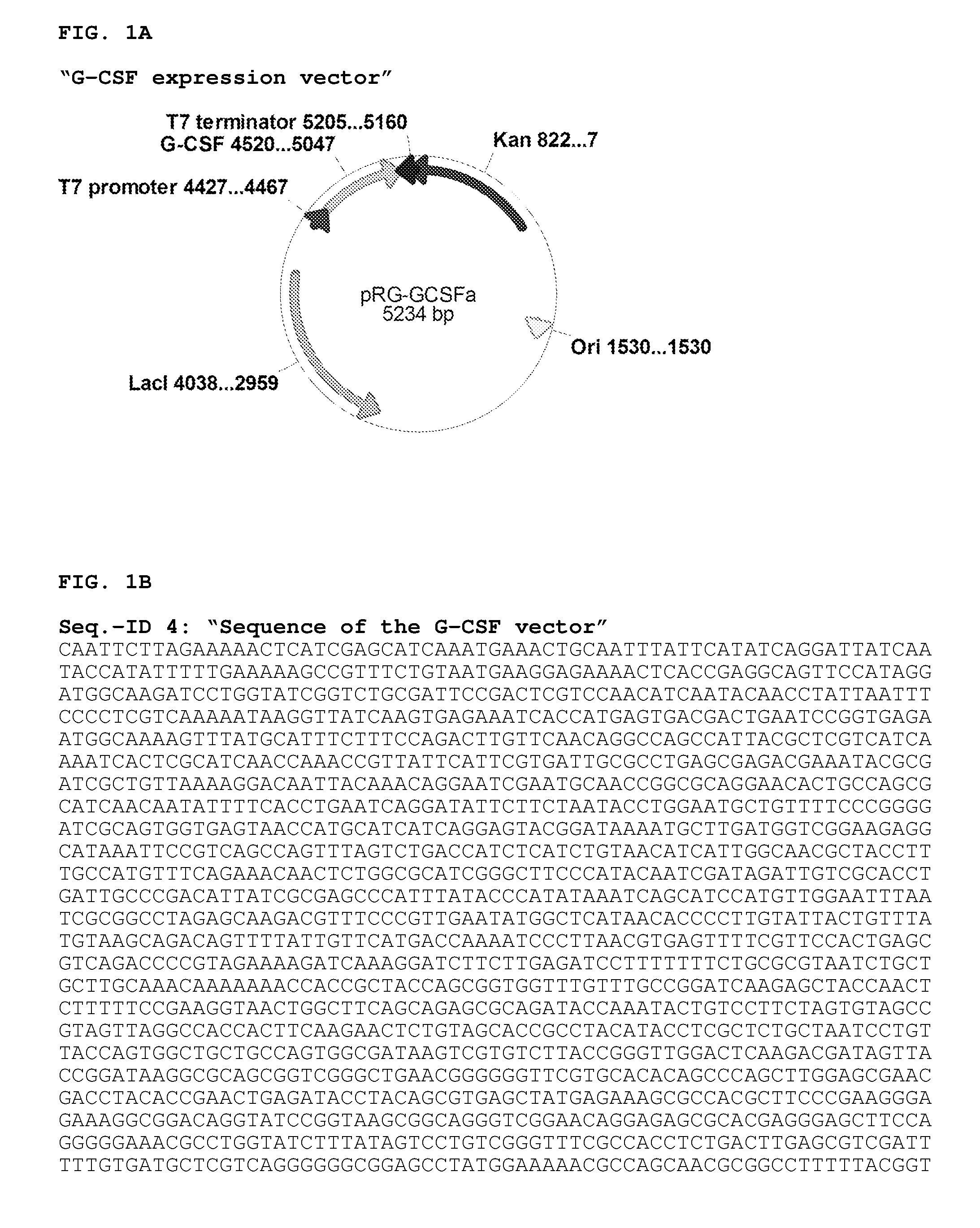 Method for the production of polypeptides