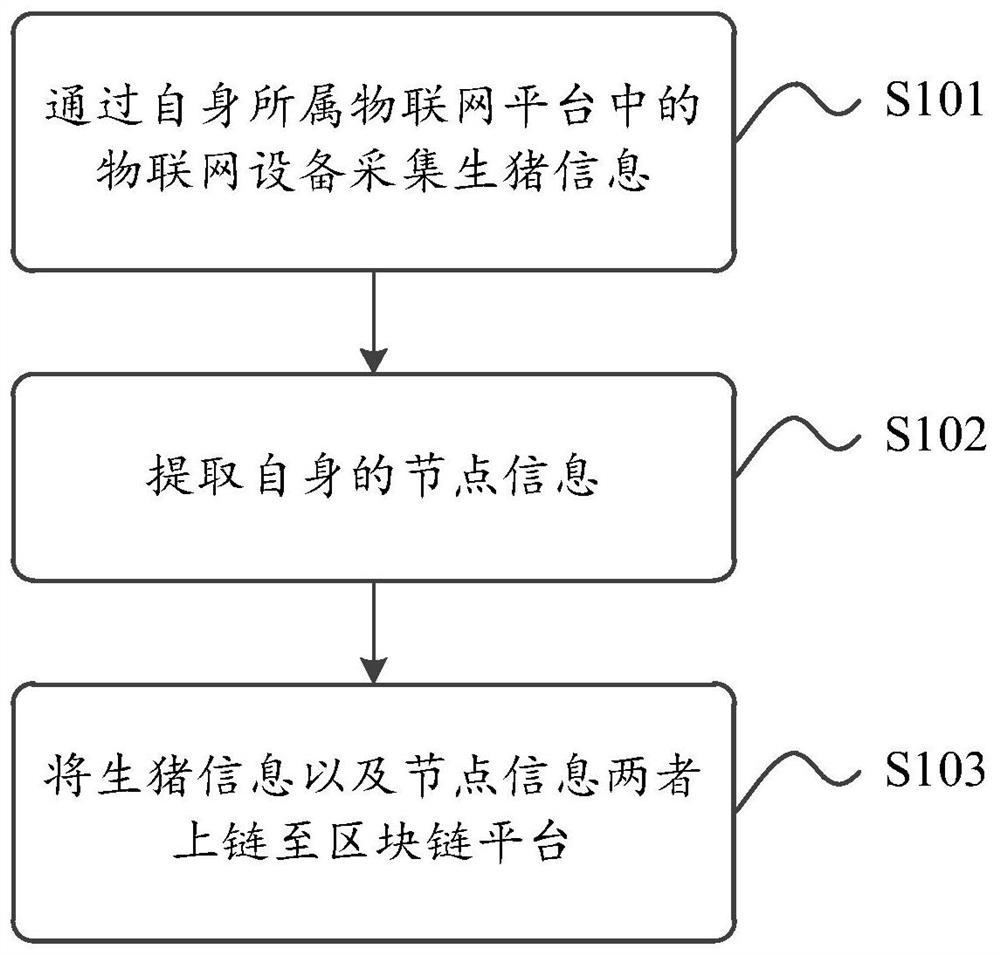 Live pig information processing method and device and block chain node equipment