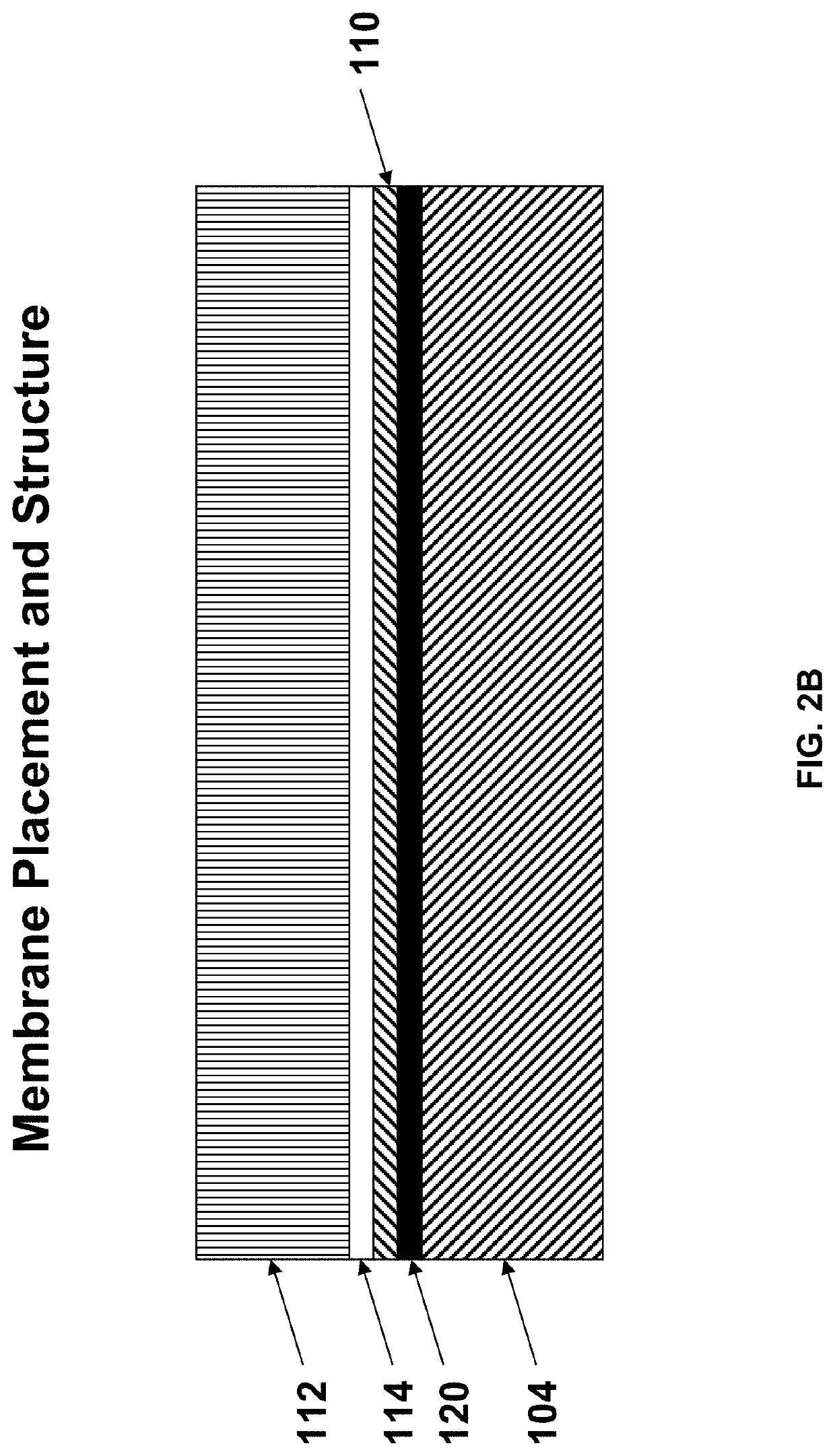 Interference rejection membranes comprising crosslinked poly(vinyl alcohol) matrices for implantable glucose sensors