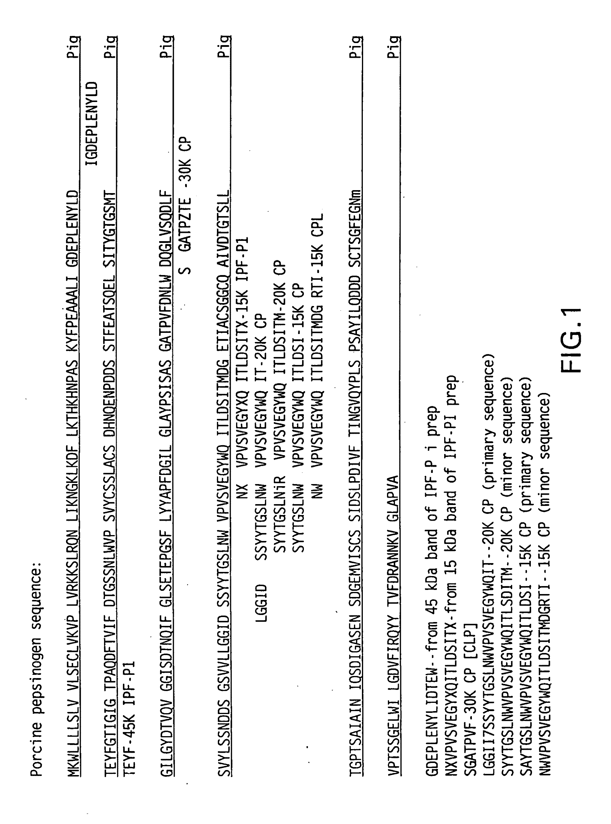 Inactivated pepsin fragments for modulating immune system activity against human malignant tumor cells