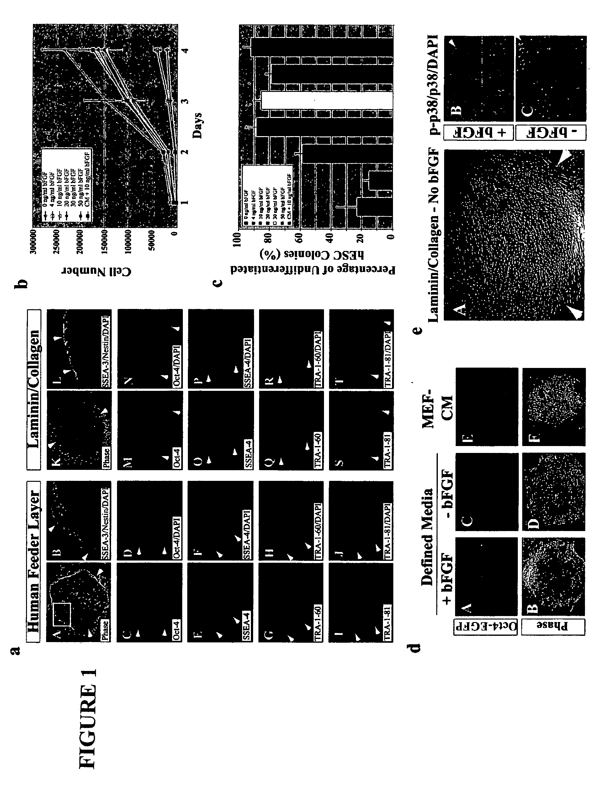 Defined media for pluripotent stem cell culture